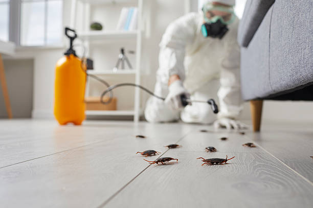Commercial Kitchen Cockroach Control in Inverness Highlands South